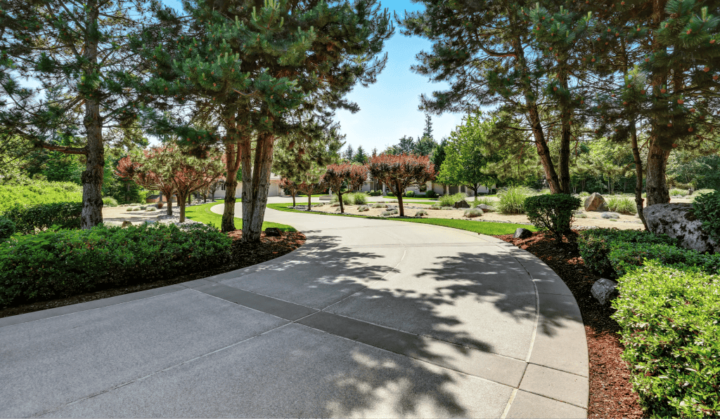 Concrete Driveway